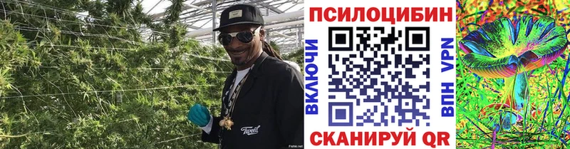 Псилоцибиновые грибы прущие грибы  закладки  mega ТОР  Ликино-Дулёво 